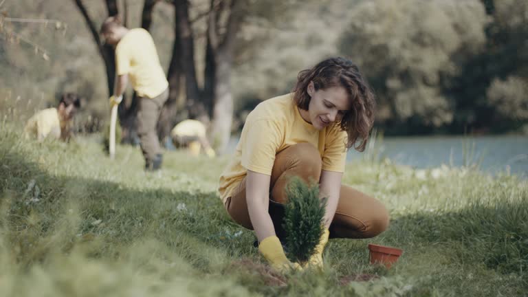 Best Root Management and Removal  in Atwater, MN